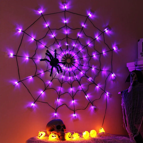 3.28 FT LED Spider Web Light with Spider