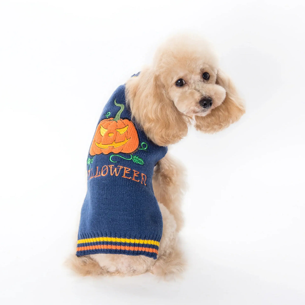 Halloween Pumpkin Dog Sweater