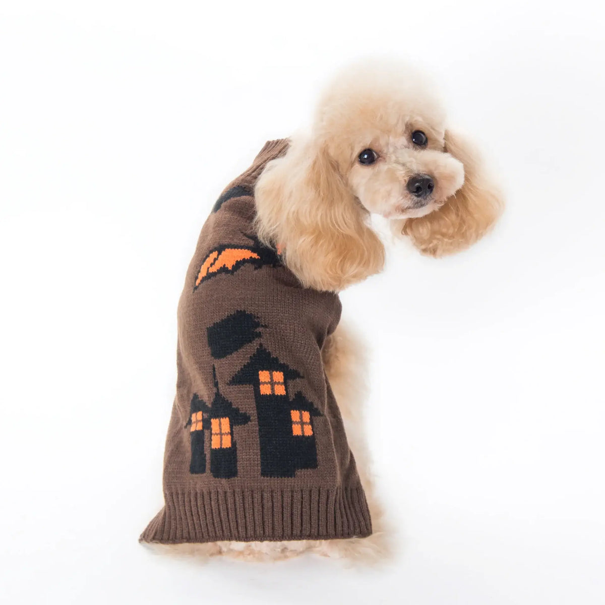 Halloween Pumpkin Dog Sweater