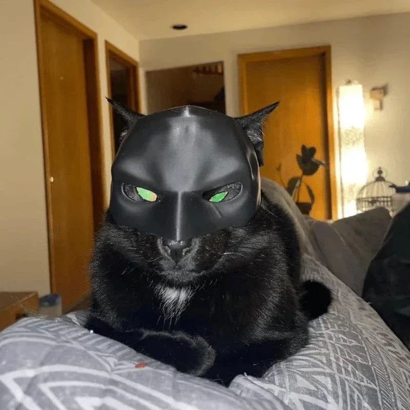 Halloween Bat Mask for Cats