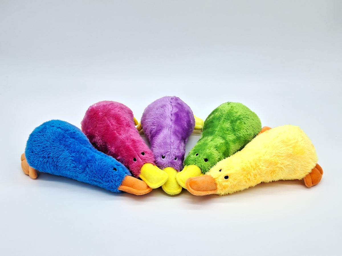 Platz the Platypus Plush Pet Toy