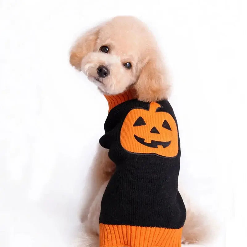 Halloween Pumpkin Dog Sweater