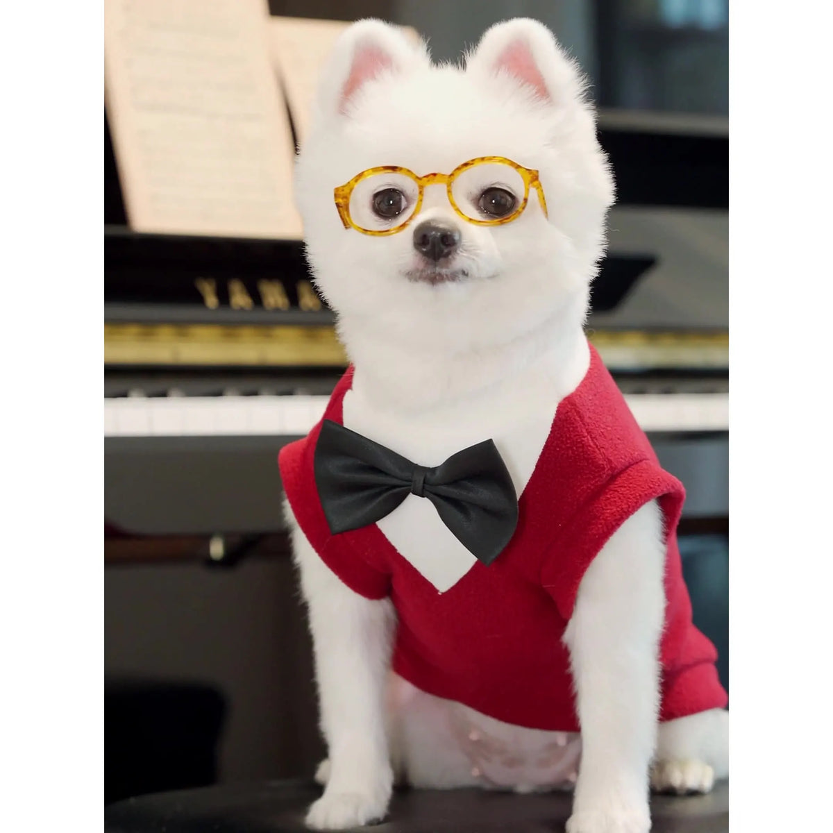 Formal Dog Tuxedo with Bow Tie