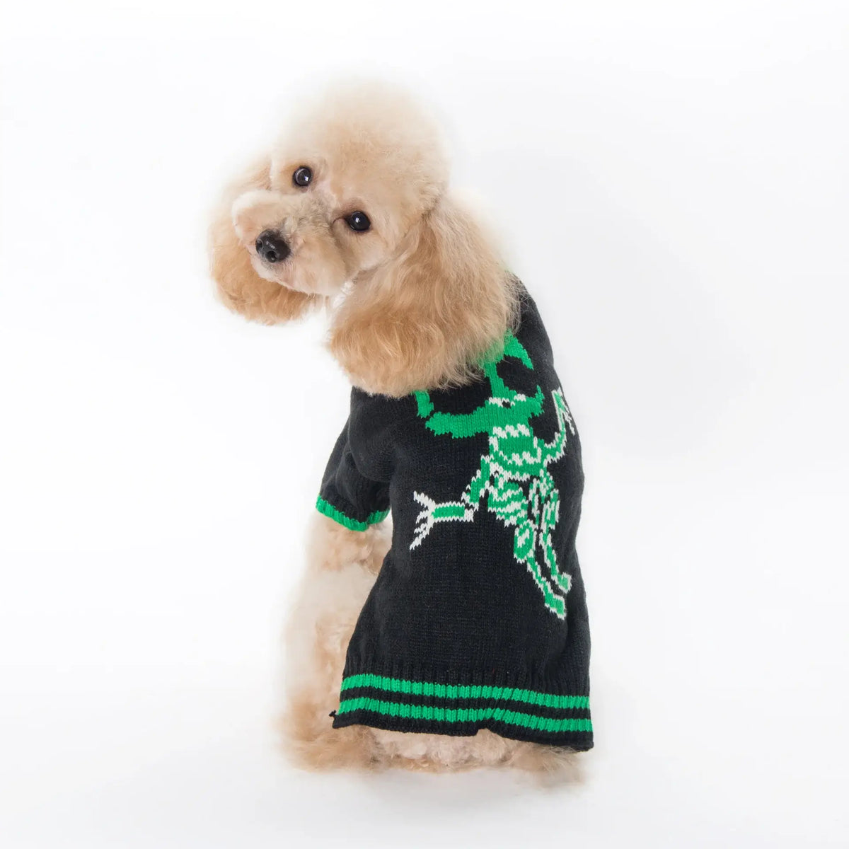 Halloween Pumpkin Dog Sweater