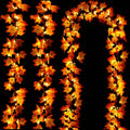 6d4b608212eed31968979187050dced2