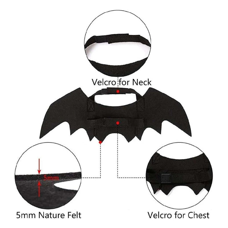 Halloween Bat Wings for Cats