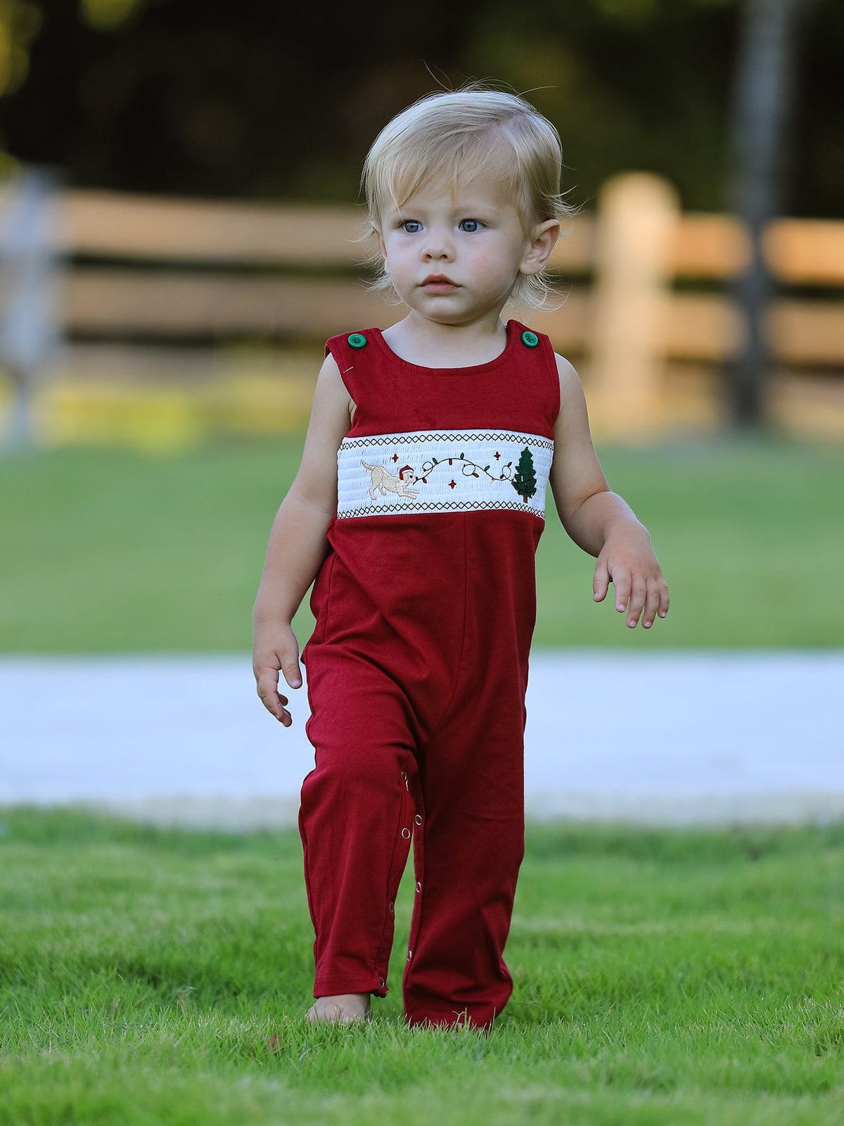 Baby Boys Christmas Dog Smocked Romper