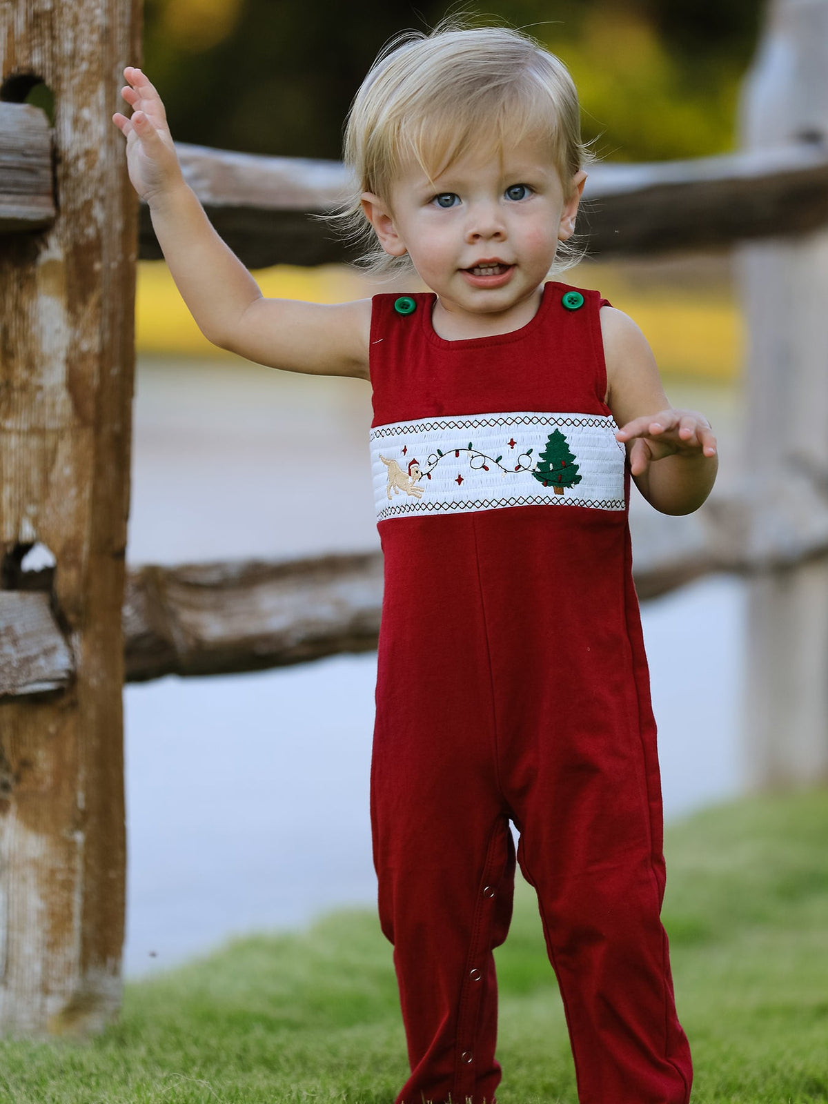 Baby Boys Christmas Dog Smocked Romper