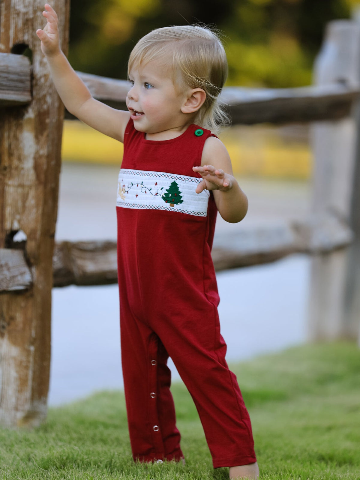 Baby Boys Christmas Dog Smocked Romper