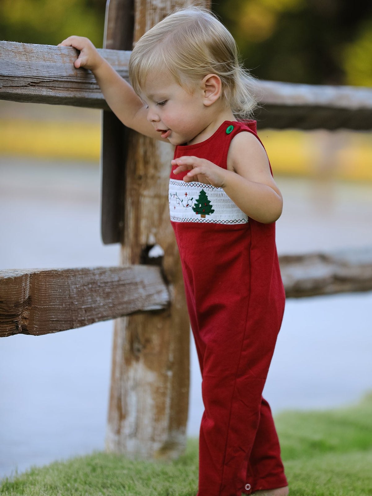 Baby Boys Christmas Dog Smocked Romper