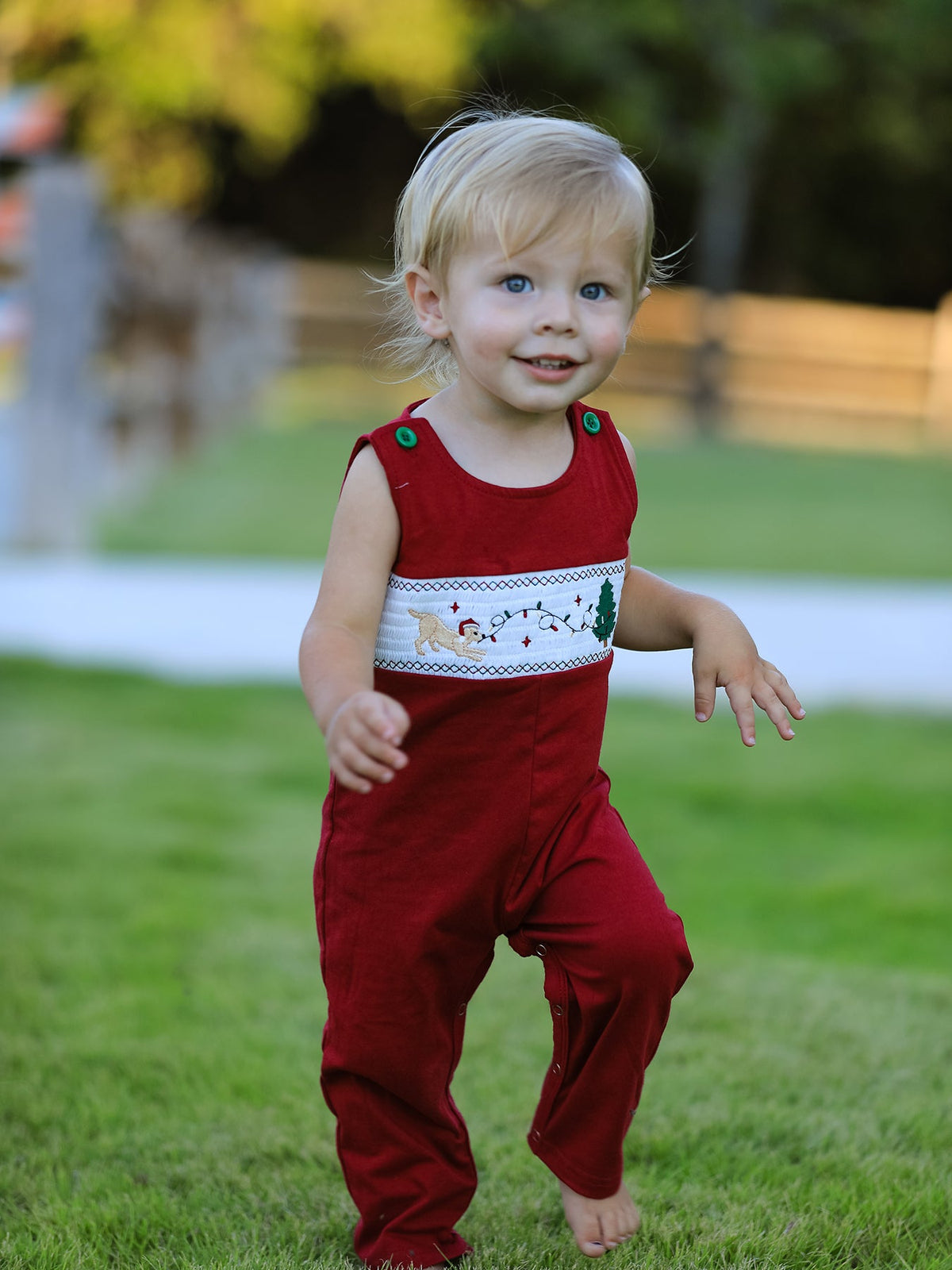 Baby Boys Christmas Dog Smocked Romper